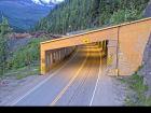 Webcam Image: Jack McDonald Snowshed - W